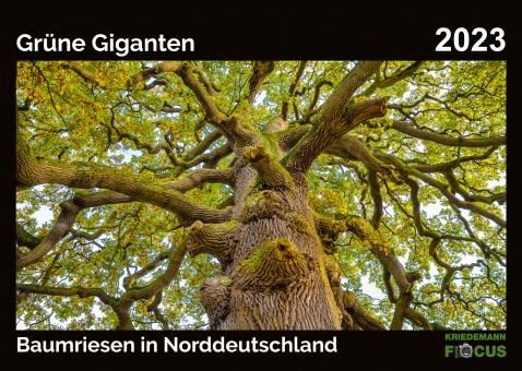 Kalender 2023: Grüne Giganten - Baumriesen in Norddeutschland 