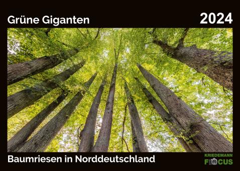 Kalender 2024: Grüne Giganten - Baumriesen in Norddeutschland 